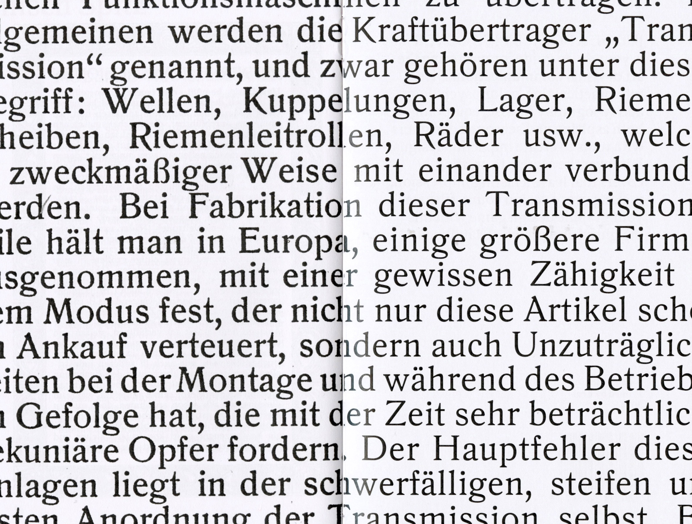 Romanisch Spitz specimen 7